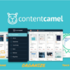 Content Camel Team Plan